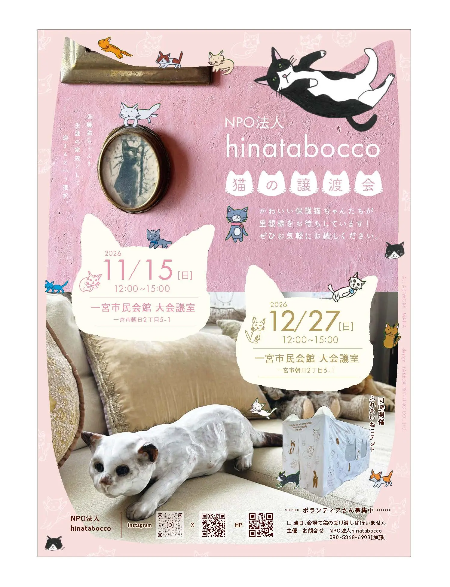 NPO法人hinatabocco 猫の譲渡会 チラシ