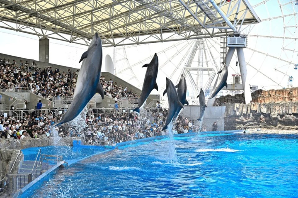 名古屋港水族館